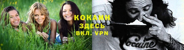 apvp Покачи