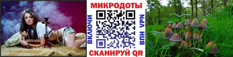 Псилоцибиновые грибы мицелий  наркота  даркнет официальный сайт  Великий Устюг 